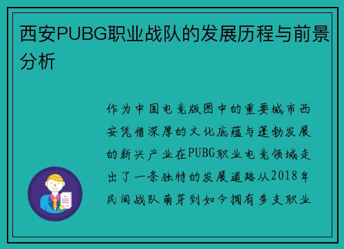 西安PUBG职业战队的发展历程与前景分析